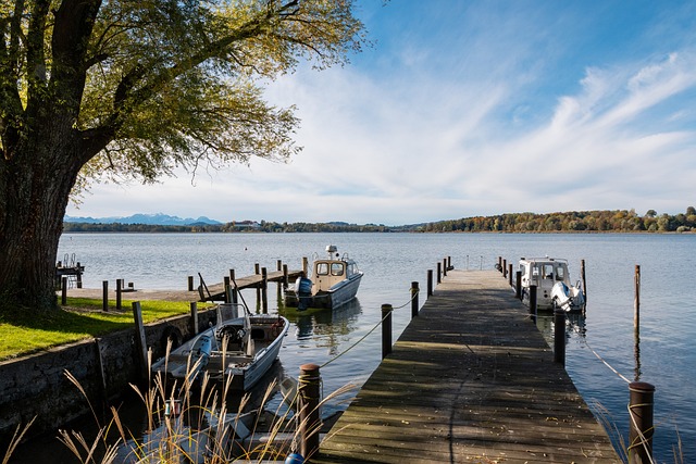 场真正的生 场真正的生