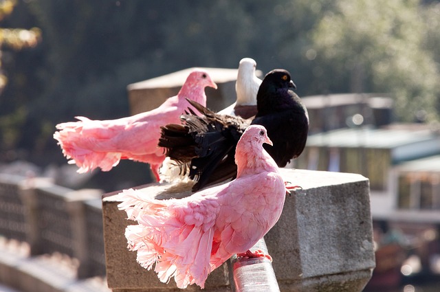 措可能不仅 措可能不仅