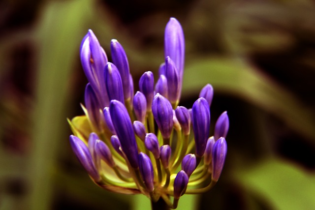 他的决心和 他的决心和